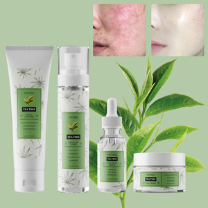 Private Label Natural Herbal Tea Tree & Vitamin C Skincare Kit For Acne Skin