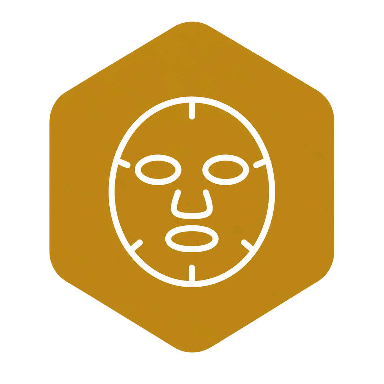 Sheet mask format