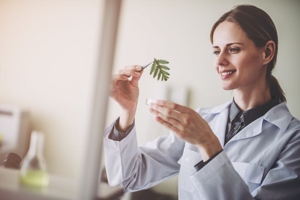 Pharma-grade supplement formulation R&D laboratory at ProTech Health Sciences